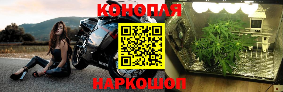 Бошки Шишки SATIVA & INDICA  Бошки Шишки сатива  Майкоп  Вход с VPN 