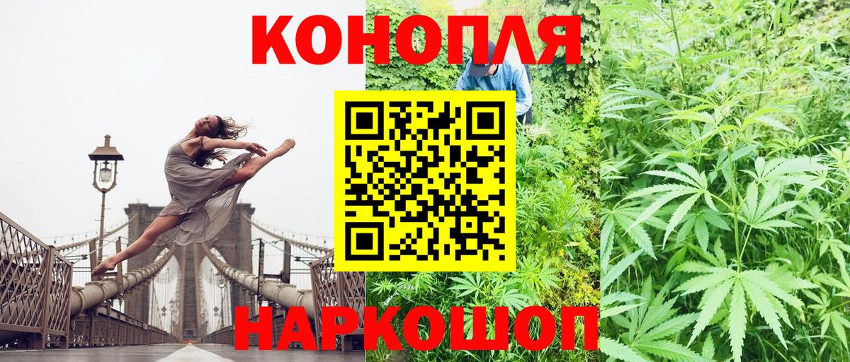 Марихуана OG Kush Майкоп